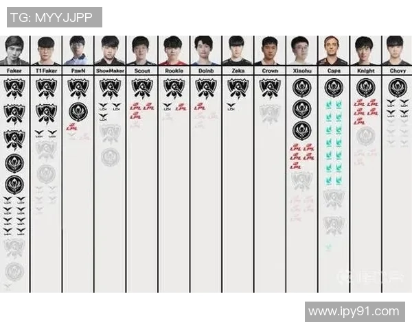 lol职业比赛常用英雄-LOL职业比赛常用英雄分析-lol职业比赛常用英雄